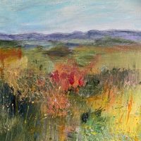 Moorland Moorland